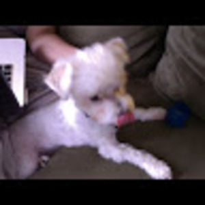 Meet your Posher, Elaine